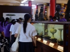 ยินดีต้อนรับคณาจารย์และนักเรียน จากโครงการแลกเปลี่ยนการศึกษา ... Image 548