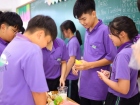 การประกวดการแสดงทำอาหารภาษาอังกฤษ (Junior Cooking Show) ระดั ... Image 98