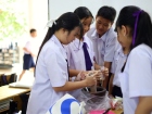การประกวดการแสดงทำอาหารภาษาอังกฤษ (Junior Cooking Show) ระดั ... Image 122