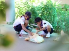 กิจกรรมเตรียมความพร้อมค่ายกลางวันลูกเสือและผู้บำเพ็ญประโยชน์ ... Image 131