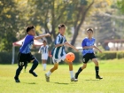 การแข่งขันกีฬาสาธิตสามัคคี ครั้งที่ 48 "องครักษ์เกมส์" Image 193