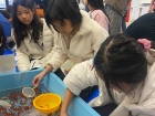 โครงการแลกเปลี่ยนการศึกษา ภาษา และวัฒนธรรม ณ Primary and Jun ... Image 91