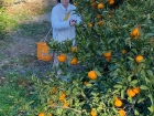 โครงการแลกเปลี่ยนการศึกษา ภาษา และวัฒนธรรม ณ Primary and Jun ... Image 278