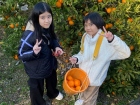 โครงการแลกเปลี่ยนการศึกษา ภาษา และวัฒนธรรม ณ Primary and Jun ... Image 280
