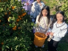 โครงการแลกเปลี่ยนการศึกษา ภาษา และวัฒนธรรม ณ Primary and Jun ... Image 282