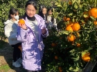 โครงการแลกเปลี่ยนการศึกษา ภาษา และวัฒนธรรม ณ Primary and Jun ... Image 284