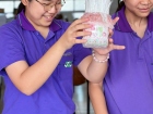 กิจกรรมนำเสนอกิจกรรมอิสระและพัฒนาตน ระดับประถมศึกษา ปีการศึก ... Image 252