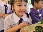 กิจกรรมนำเสนอกิจกรรมอิสระและพัฒนาตน ระดับประถมศึกษา ปีการศึก ... Image 335