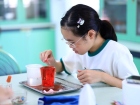 โครงการส่งเสริมความถนัด ความสนใจ และความสมารถพิเศษ ภาคฤดูร้อ ... Image 530