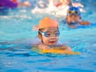 โครงการส่งเสริมความถนัด ความสนใจ และความสมารถพิเศษ ภาคฤดูร้อ ... Image 960