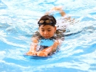 โครงการส่งเสริมความถนัด ความสนใจ และความสมารถพิเศษ ภาคฤดูร้อ ... Image 965