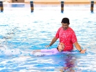 โครงการส่งเสริมความถนัด ความสนใจ และความสมารถพิเศษ ภาคฤดูร้อ ... Image 968