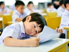 การทดสอบทางวิชาการ ของนักเรียนชั้นประถมศึกษาปีที่ 1 ปีการศึก ... Image 68