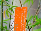 เทศกาลทานาบาตะ (Tanabata) 2026 Image 33