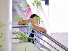 เทศกาลทานาบาตะ (Tanabata) 2026 Image 42