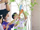 เทศกาลทานาบาตะ (Tanabata) 2026 Image 46
