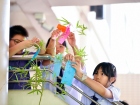 เทศกาลทานาบาตะ (Tanabata) 2026 Image 55