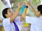 เทศกาลทานาบาตะ (Tanabata) 2026 Image 58