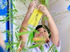 เทศกาลทานาบาตะ (Tanabata) 2026 Image 71