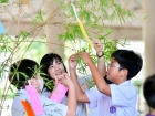 เทศกาลทานาบาตะ (Tanabata) 2026 Image 74