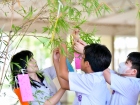 เทศกาลทานาบาตะ (Tanabata) 2026 Image 75