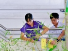 เทศกาลทานาบาตะ (Tanabata) 2026 Image 118