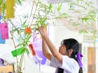เทศกาลทานาบาตะ (Tanabata) 2026 Image 121
