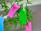 เทศกาลทานาบาตะ (Tanabata) 2026 Image 160
