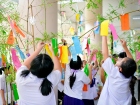 เทศกาลทานาบาตะ (Tanabata) 2026 Image 211