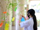 เทศกาลทานาบาตะ (Tanabata) 2026 Image 237