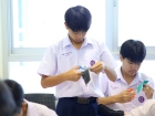 เทศกาลทานาบาตะ (Tanabata) 2026 Image 246