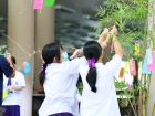 เทศกาลทานาบาตะ (Tanabata) 2026 Image 267