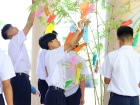 เทศกาลทานาบาตะ (Tanabata) 2026 Image 273