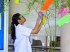 เทศกาลทานาบาตะ (Tanabata) 2026 Image 281