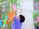 เทศกาลทานาบาตะ (Tanabata) 2026 Image 331