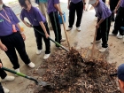 โครงการศึกษานอกสถานที่ป.5 ปีการศึกษา 2569 "เดินตามรอยเท้าพ่อ ... Image 153