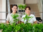 กิจกรรมเนื่องในวันคล้ายวันพระราชสมภพ สมเด็จพระนางเจ้าสิริกิต ... Image 251