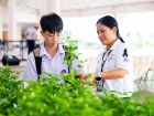 กิจกรรมเนื่องในวันคล้ายวันพระราชสมภพ สมเด็จพระนางเจ้าสิริกิต ... Image 258