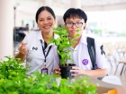 กิจกรรมเนื่องในวันคล้ายวันพระราชสมภพ สมเด็จพระนางเจ้าสิริกิต ... Image 259