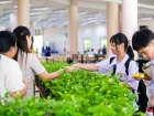 กิจกรรมเนื่องในวันคล้ายวันพระราชสมภพ สมเด็จพระนางเจ้าสิริกิต ... Image 260