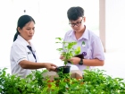 กิจกรรมเนื่องในวันคล้ายวันพระราชสมภพ สมเด็จพระนางเจ้าสิริกิต ... Image 266