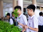 กิจกรรมเนื่องในวันคล้ายวันพระราชสมภพ สมเด็จพระนางเจ้าสิริกิต ... Image 269