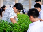กิจกรรมเนื่องในวันคล้ายวันพระราชสมภพ สมเด็จพระนางเจ้าสิริกิต ... Image 282