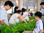 กิจกรรมเนื่องในวันคล้ายวันพระราชสมภพ สมเด็จพระนางเจ้าสิริกิต ... Image 285