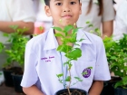 กิจกรรมเนื่องในวันคล้ายวันพระราชสมภพ สมเด็จพระนางเจ้าสิริกิต ... Image 289