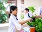 กิจกรรมเนื่องในวันคล้ายวันพระราชสมภพ สมเด็จพระนางเจ้าสิริกิต ... Image 292