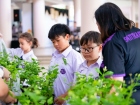 กิจกรรมเนื่องในวันคล้ายวันพระราชสมภพ สมเด็จพระนางเจ้าสิริกิต ... Image 317
