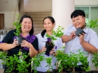 กิจกรรมเนื่องในวันคล้ายวันพระราชสมภพ สมเด็จพระนางเจ้าสิริกิต ... Image 325