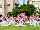 กีฬาสีสัมพันธ์ ครั้งที่ 22 "การโชว์เชียร์" Image 240