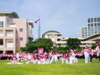 กีฬาสีสัมพันธ์ ครั้งที่ 22 "การโชว์เชียร์" Image 276